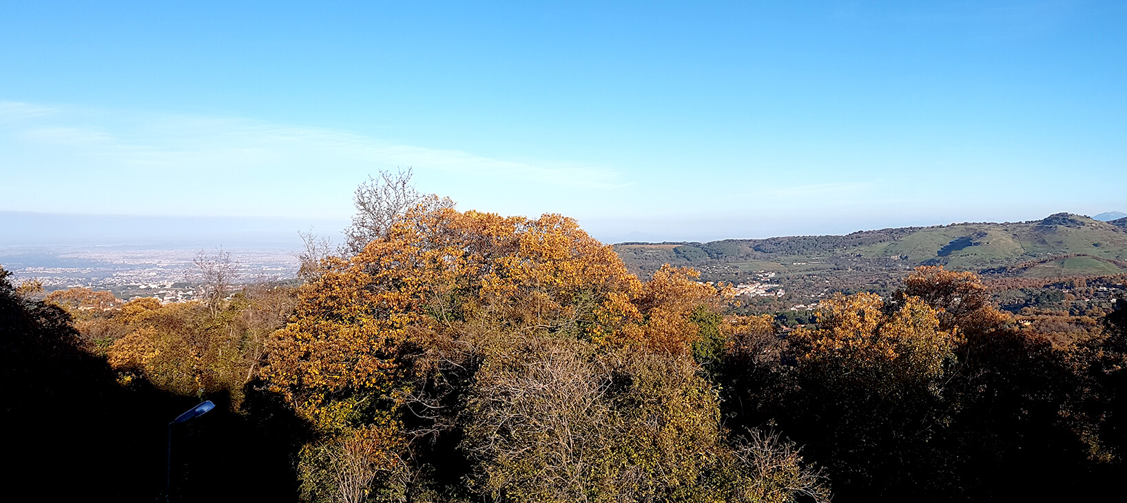 Allegro beb panorama